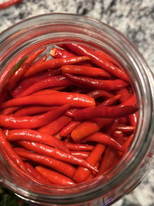 Sweet South hot sauce