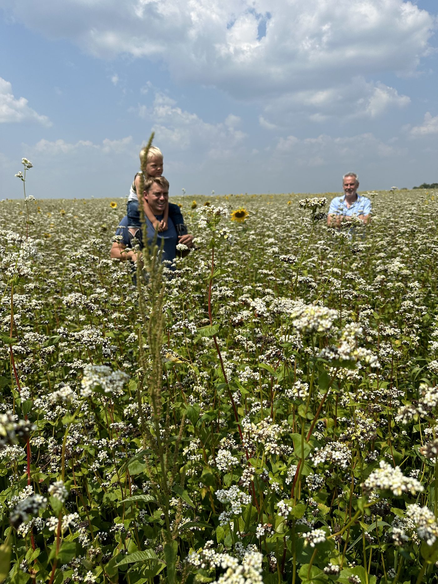 In the field with a Minnesota grower